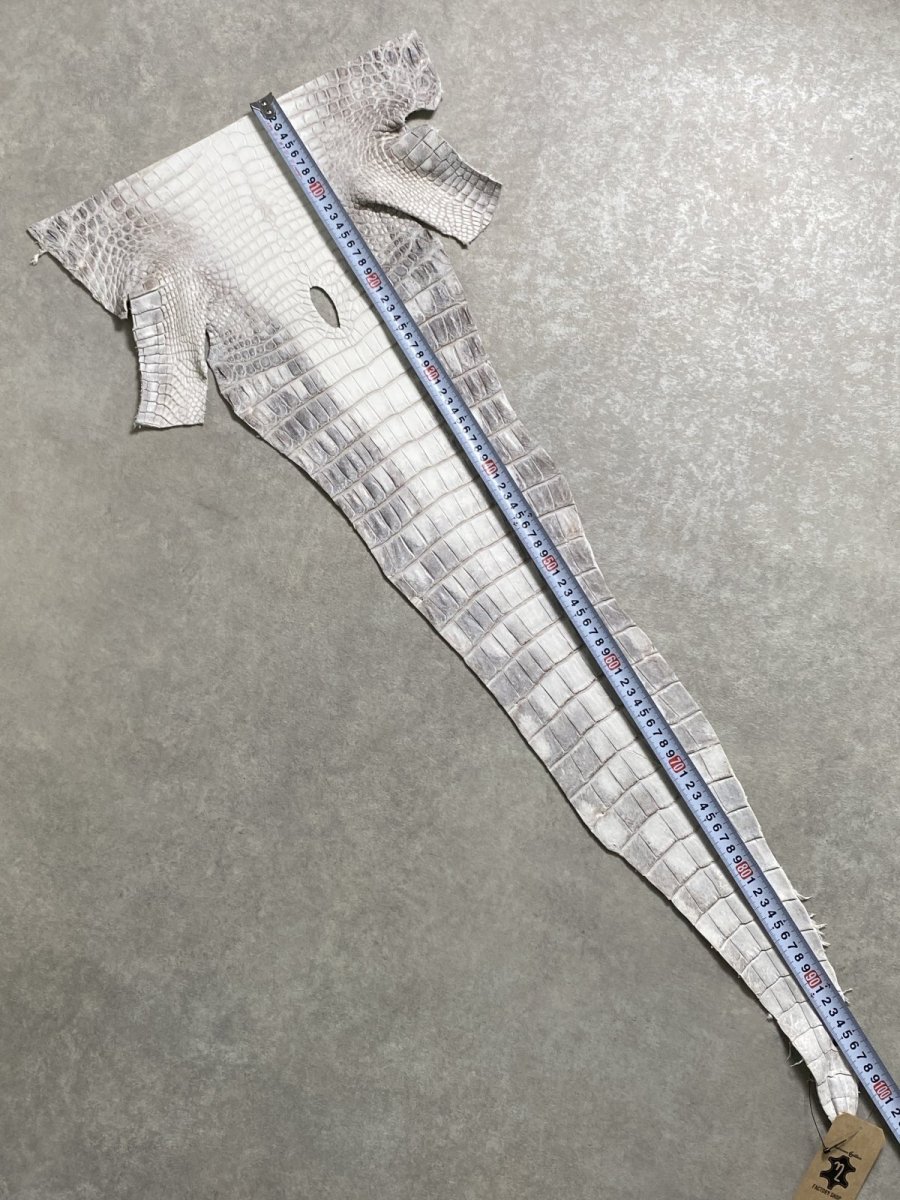 画像6: ヒマラヤクロコダイル　ナチュラル　尻尾　ワニ革　ナイルクロコダイル　クロコダイル革　エキゾチックレザー　 (6)