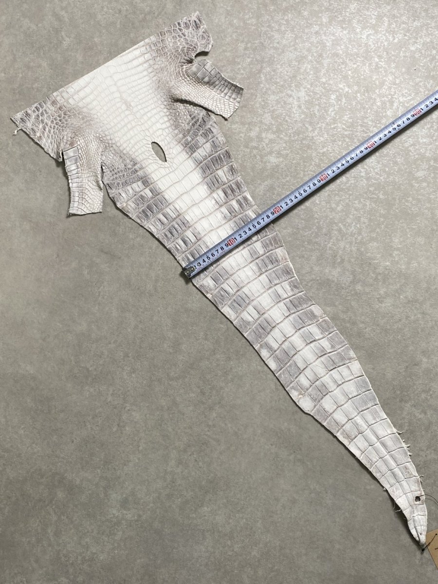 画像7: ヒマラヤクロコダイル　ナチュラル　尻尾　ワニ革　ナイルクロコダイル　クロコダイル革　エキゾチックレザー　 (7)