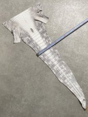 画像7: ヒマラヤクロコダイル　ナチュラル　尻尾　ワニ革　ナイルクロコダイル　クロコダイル革　エキゾチックレザー　 (7)