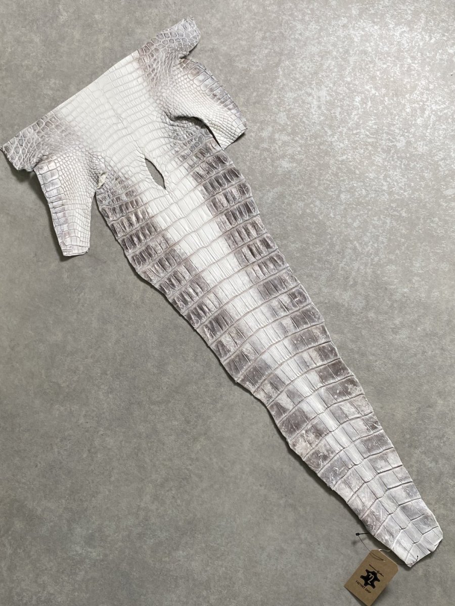 画像1: ヒマラヤクロコダイル　ナチュラル　尻尾　ワニ革　ナイルクロコダイル　クロコダイル革　エキゾチックレザー　 (1)