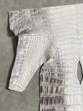 画像2: ヒマラヤクロコダイル　ナチュラル　尻尾　ワニ革　ナイルクロコダイル　クロコダイル革　エキゾチックレザー　 (2)