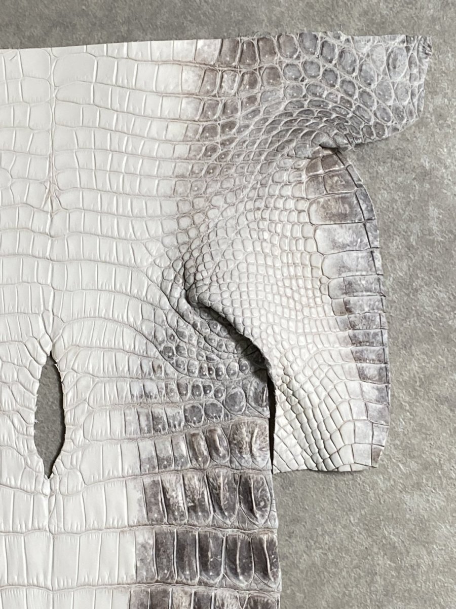 画像3: ヒマラヤクロコダイル　ナチュラル　尻尾　ワニ革　ナイルクロコダイル　クロコダイル革　エキゾチックレザー　 (3)