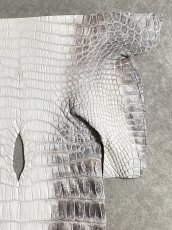 画像3: ヒマラヤクロコダイル　ナチュラル　尻尾　ワニ革　ナイルクロコダイル　クロコダイル革　エキゾチックレザー　 (3)