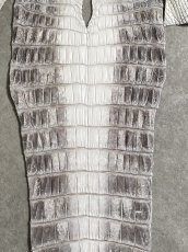 画像4: ヒマラヤクロコダイル　ナチュラル　尻尾　ワニ革　ナイルクロコダイル　クロコダイル革　エキゾチックレザー　 (4)