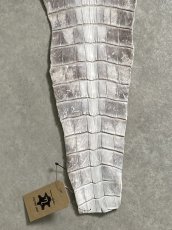 画像5: ヒマラヤクロコダイル　ナチュラル　尻尾　ワニ革　ナイルクロコダイル　クロコダイル革　エキゾチックレザー　 (5)