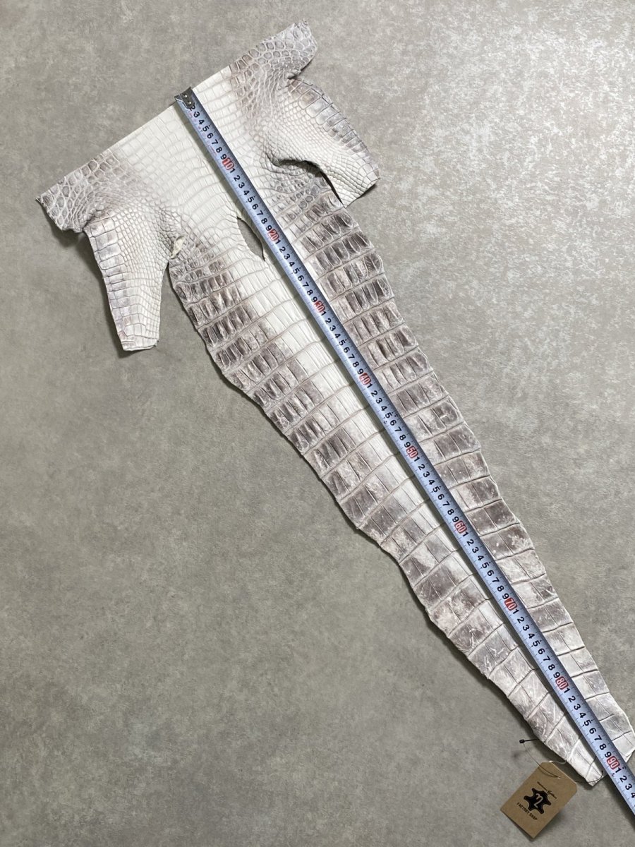 画像6: ヒマラヤクロコダイル　ナチュラル　尻尾　ワニ革　ナイルクロコダイル　クロコダイル革　エキゾチックレザー　 (6)