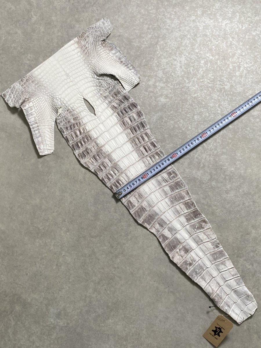 画像7: ヒマラヤクロコダイル　ナチュラル　尻尾　ワニ革　ナイルクロコダイル　クロコダイル革　エキゾチックレザー　 (7)