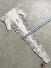 画像7: ヒマラヤクロコダイル　ナチュラル　尻尾　ワニ革　ナイルクロコダイル　クロコダイル革　エキゾチックレザー　 (7)