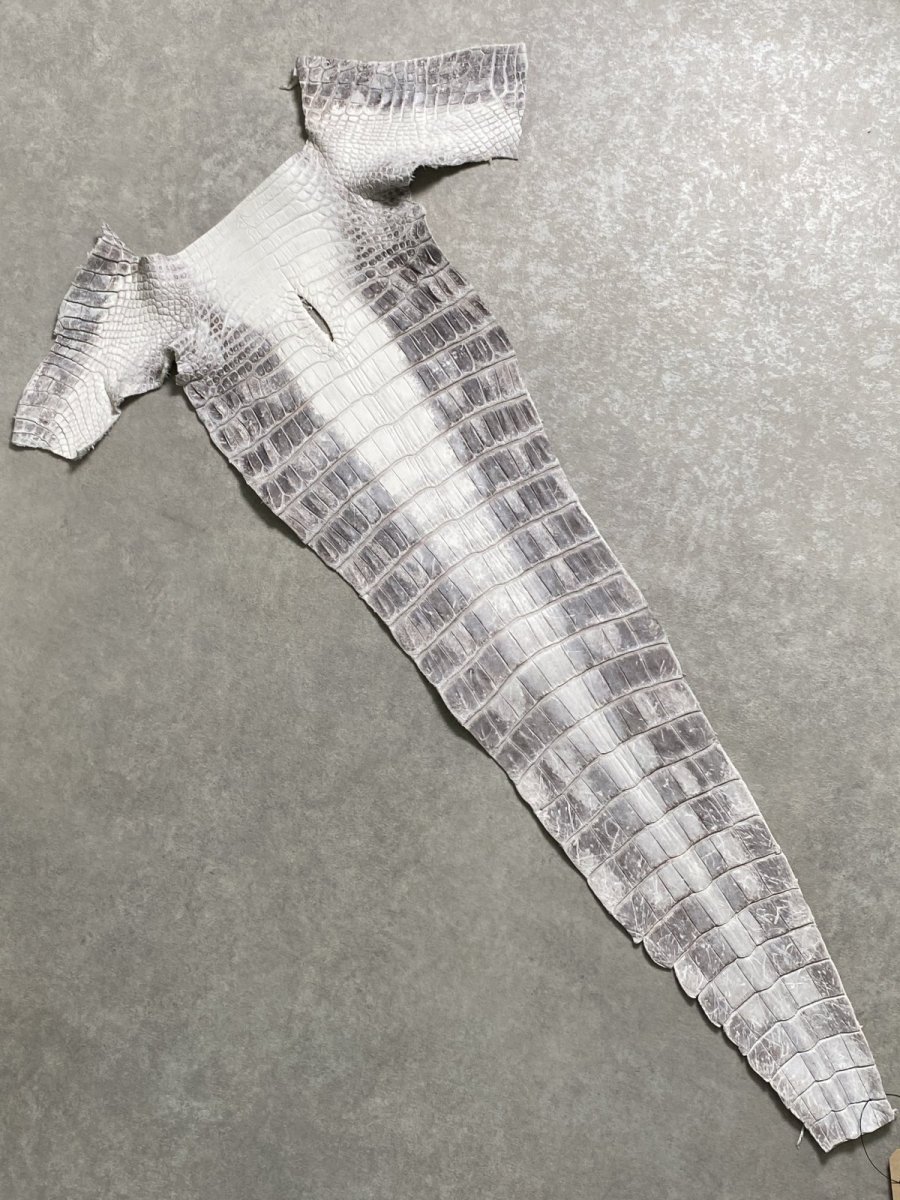 画像1: ヒマラヤクロコダイル　ナチュラル　尻尾　ワニ革　ナイルクロコダイル　クロコダイル革　エキゾチックレザー　 (1)