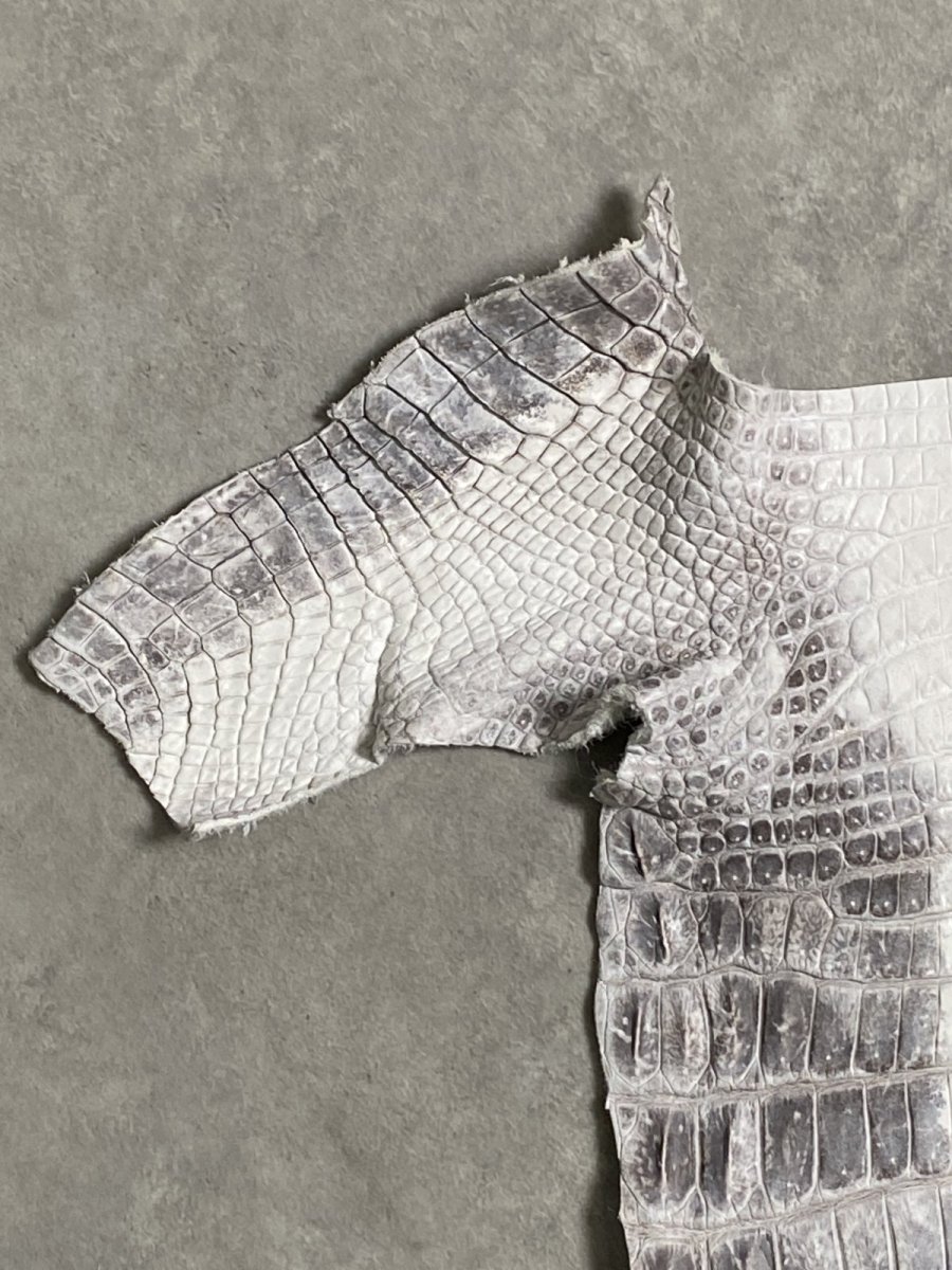 画像2: ヒマラヤクロコダイル　ナチュラル　尻尾　ワニ革　ナイルクロコダイル　クロコダイル革　エキゾチックレザー　 (2)