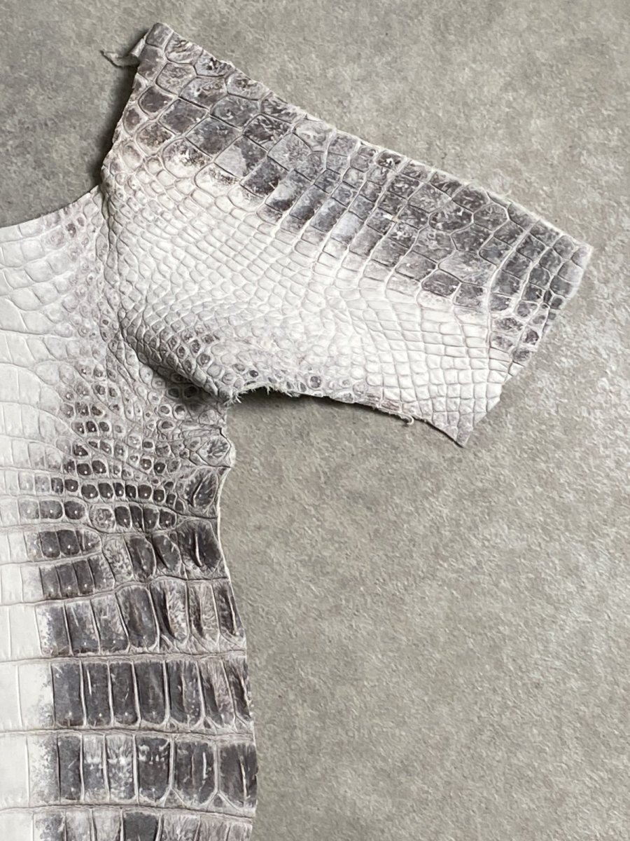 画像3: ヒマラヤクロコダイル　ナチュラル　尻尾　ワニ革　ナイルクロコダイル　クロコダイル革　エキゾチックレザー　 (3)