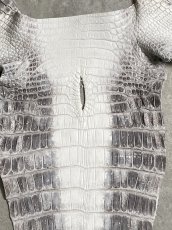 画像4: ヒマラヤクロコダイル　ナチュラル　尻尾　ワニ革　ナイルクロコダイル　クロコダイル革　エキゾチックレザー　 (4)