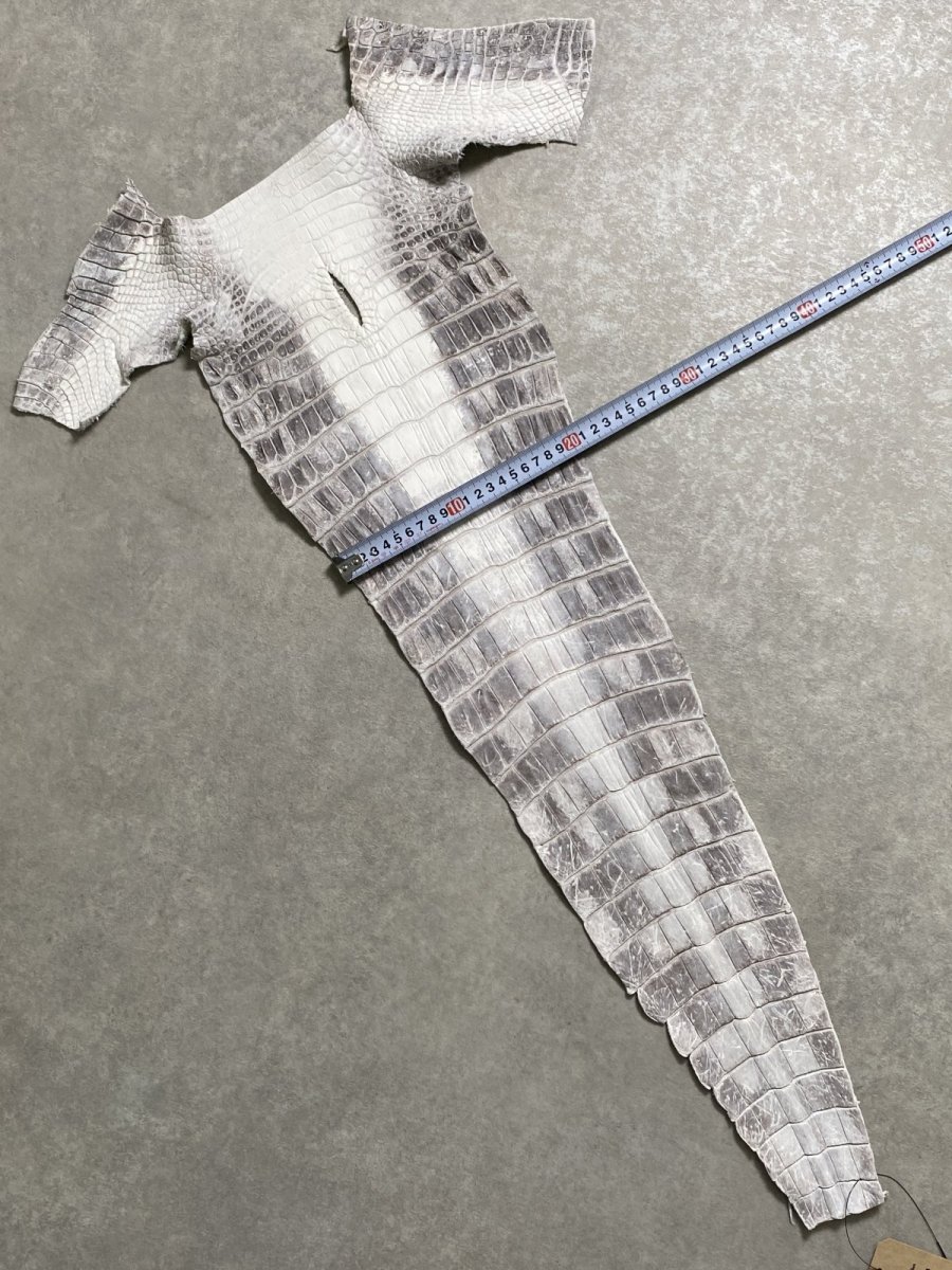 画像7: ヒマラヤクロコダイル　ナチュラル　尻尾　ワニ革　ナイルクロコダイル　クロコダイル革　エキゾチックレザー　 (7)