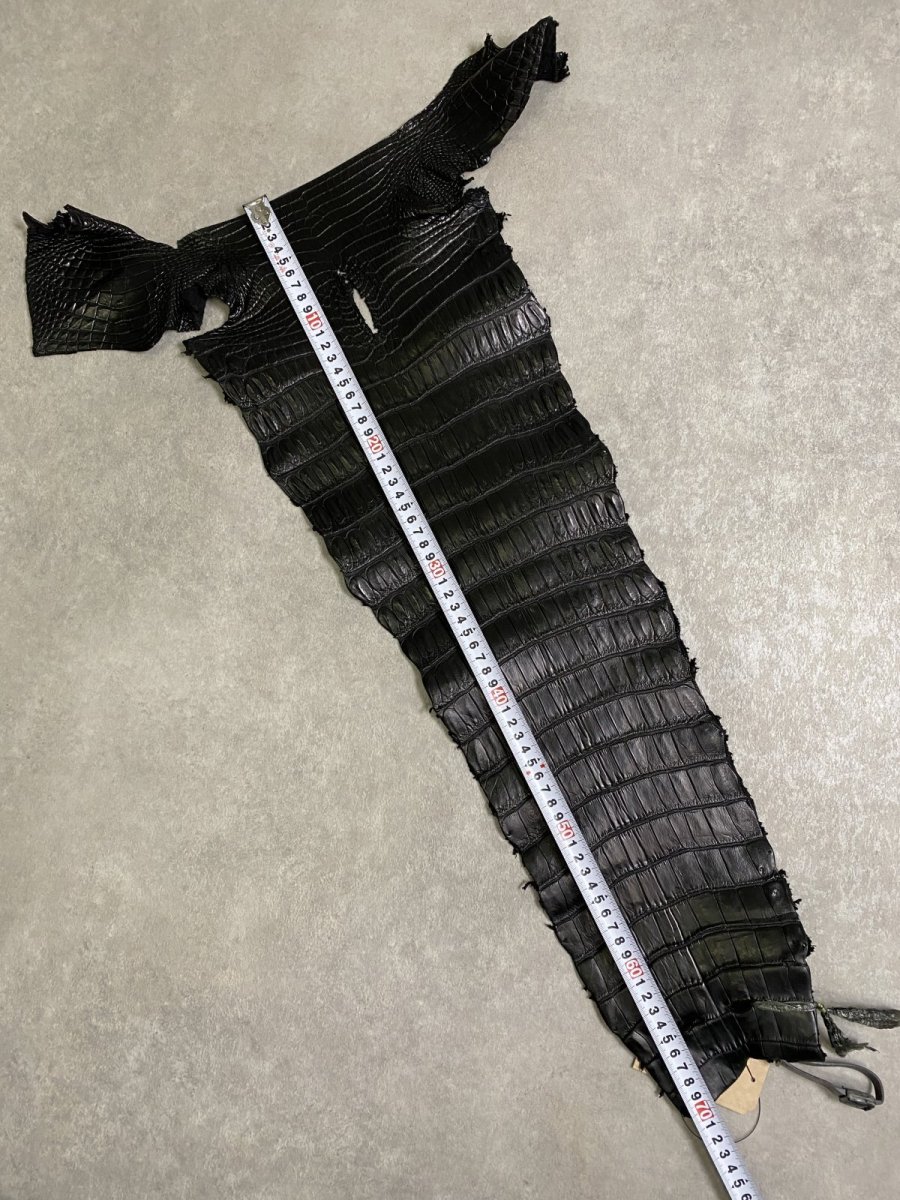 画像9: スモールクロコ（ポロサス） 尻尾　ブラック　 (9)