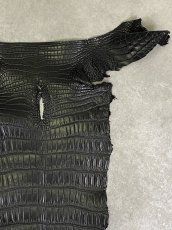 画像3: スモールクロコ（ポロサス） 尻尾　ブラック　 (3)