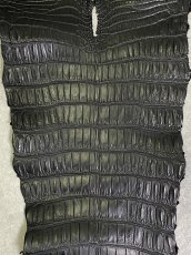 画像4: スモールクロコ（ポロサス） 尻尾　ブラック　 (4)