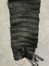 画像5: スモールクロコ（ポロサス） 尻尾　ブラック　 (5)