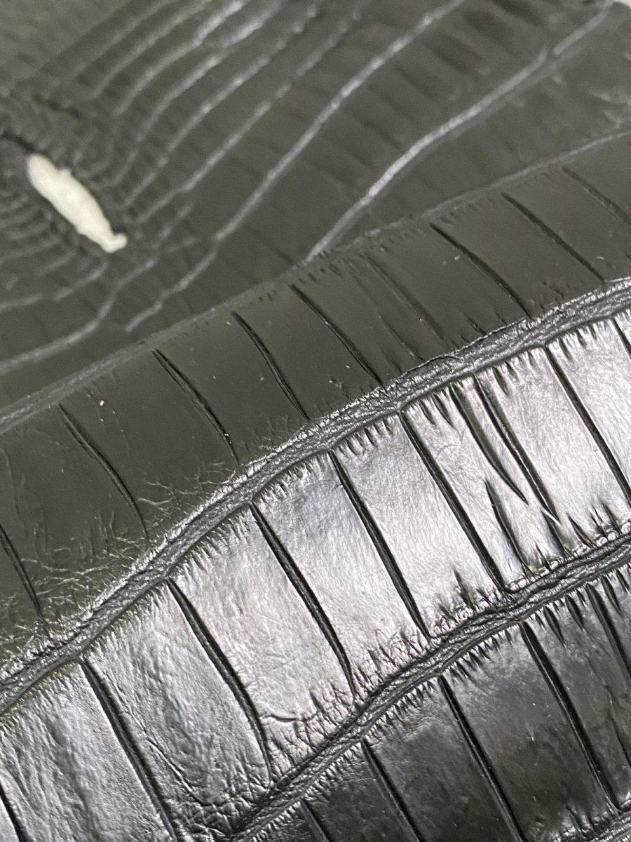 画像7: スモールクロコ（ポロサス） 尻尾　ブラック　 (7)