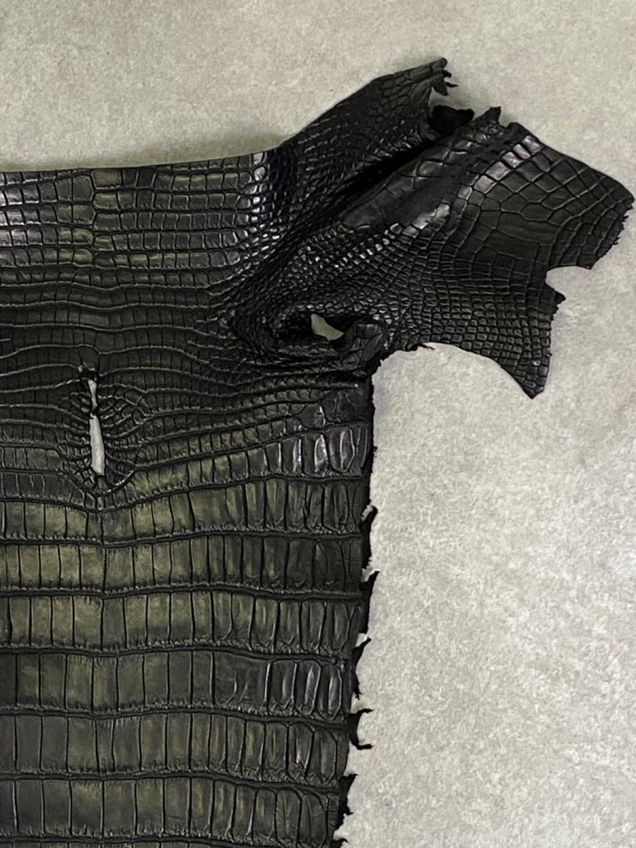 画像3: スモールクロコ（ポロサス） 尻尾　ブラック　 (3)