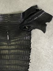 画像3: スモールクロコ（ポロサス） 尻尾　ブラック　 (3)