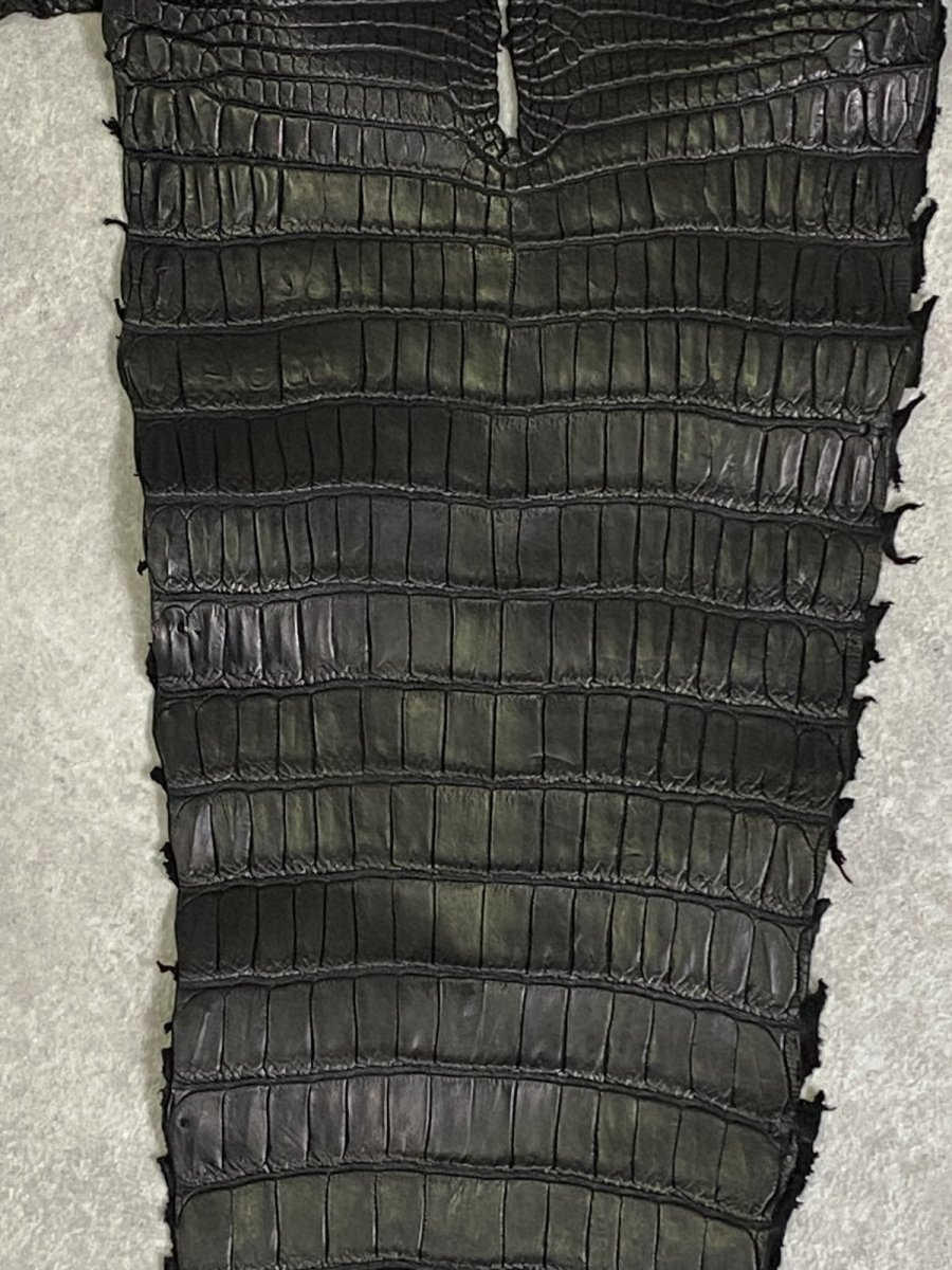 画像4: スモールクロコ（ポロサス） 尻尾　ブラック　 (4)