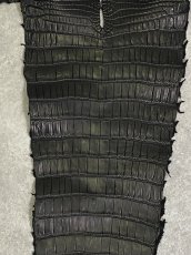 画像4: スモールクロコ（ポロサス） 尻尾　ブラック　 (4)