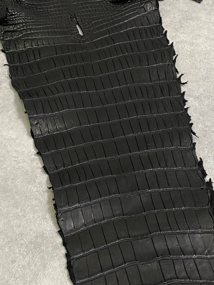 画像6: スモールクロコ（ポロサス） 尻尾　ブラック　 (6)