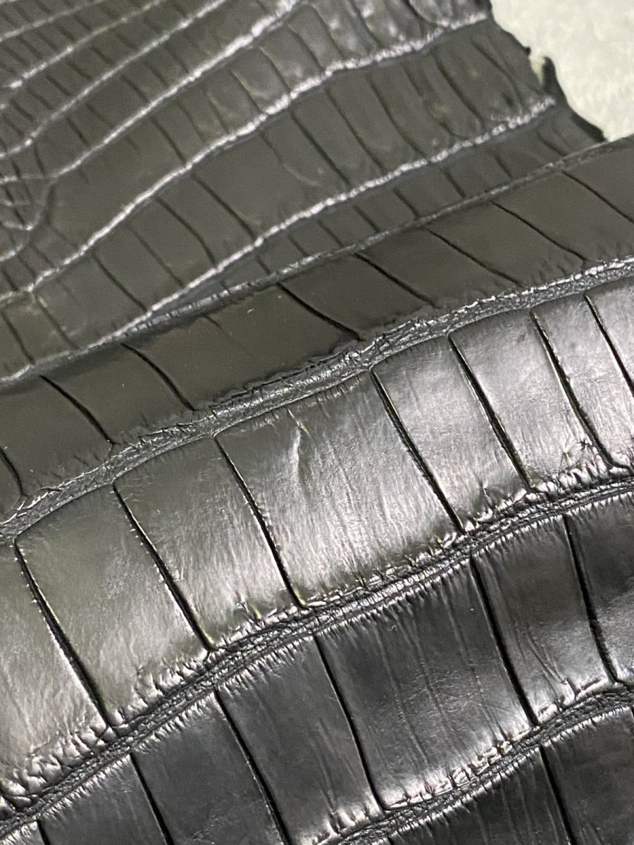 画像7: スモールクロコ（ポロサス） 尻尾　ブラック　 (7)