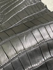 画像7: スモールクロコ（ポロサス） 尻尾　ブラック　 (7)