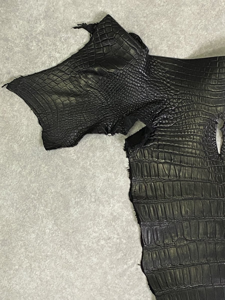 画像2: スモールクロコ（ポロサス） 尻尾　ブラック　 (2)