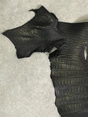 画像2: スモールクロコ（ポロサス） 尻尾　ブラック　 (2)