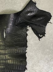 画像3: スモールクロコ（ポロサス） 尻尾　ブラック　 (3)