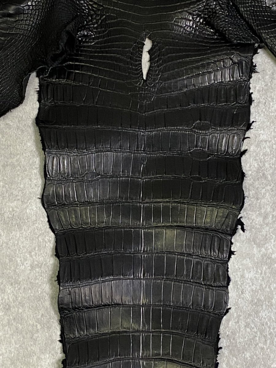 画像4: スモールクロコ（ポロサス） 尻尾　ブラック　 (4)