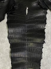 画像4: スモールクロコ（ポロサス） 尻尾　ブラック　 (4)