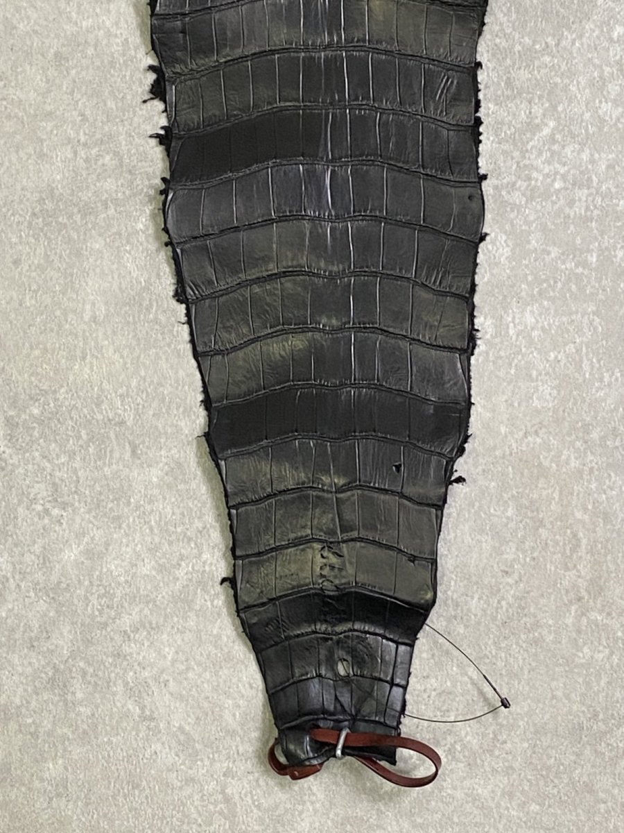 画像5: スモールクロコ（ポロサス） 尻尾　ブラック　 (5)