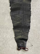 画像5: スモールクロコ（ポロサス） 尻尾　ブラック　 (5)