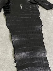 画像6: スモールクロコ（ポロサス） 尻尾　ブラック　 (6)