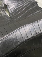 画像7: スモールクロコ（ポロサス） 尻尾　ブラック　 (7)