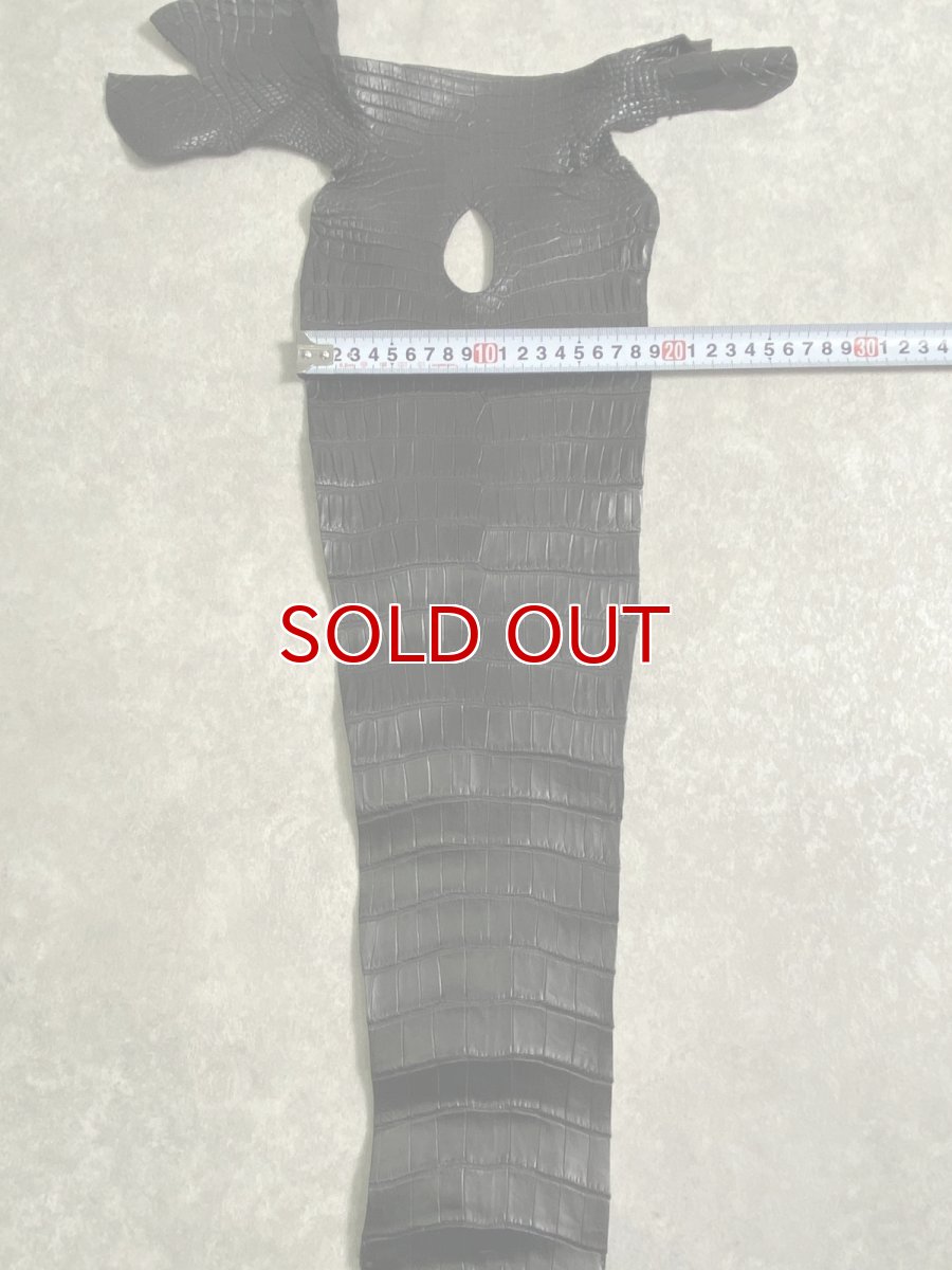 画像8: スモールクロコ（ポロサス） 尻尾　ブラック　 (8)