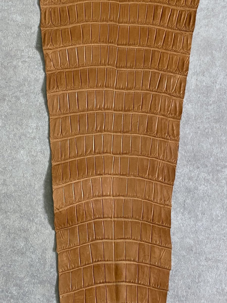 画像4: スモールクロコ（ポロサス） 尻尾　キャメル (4)