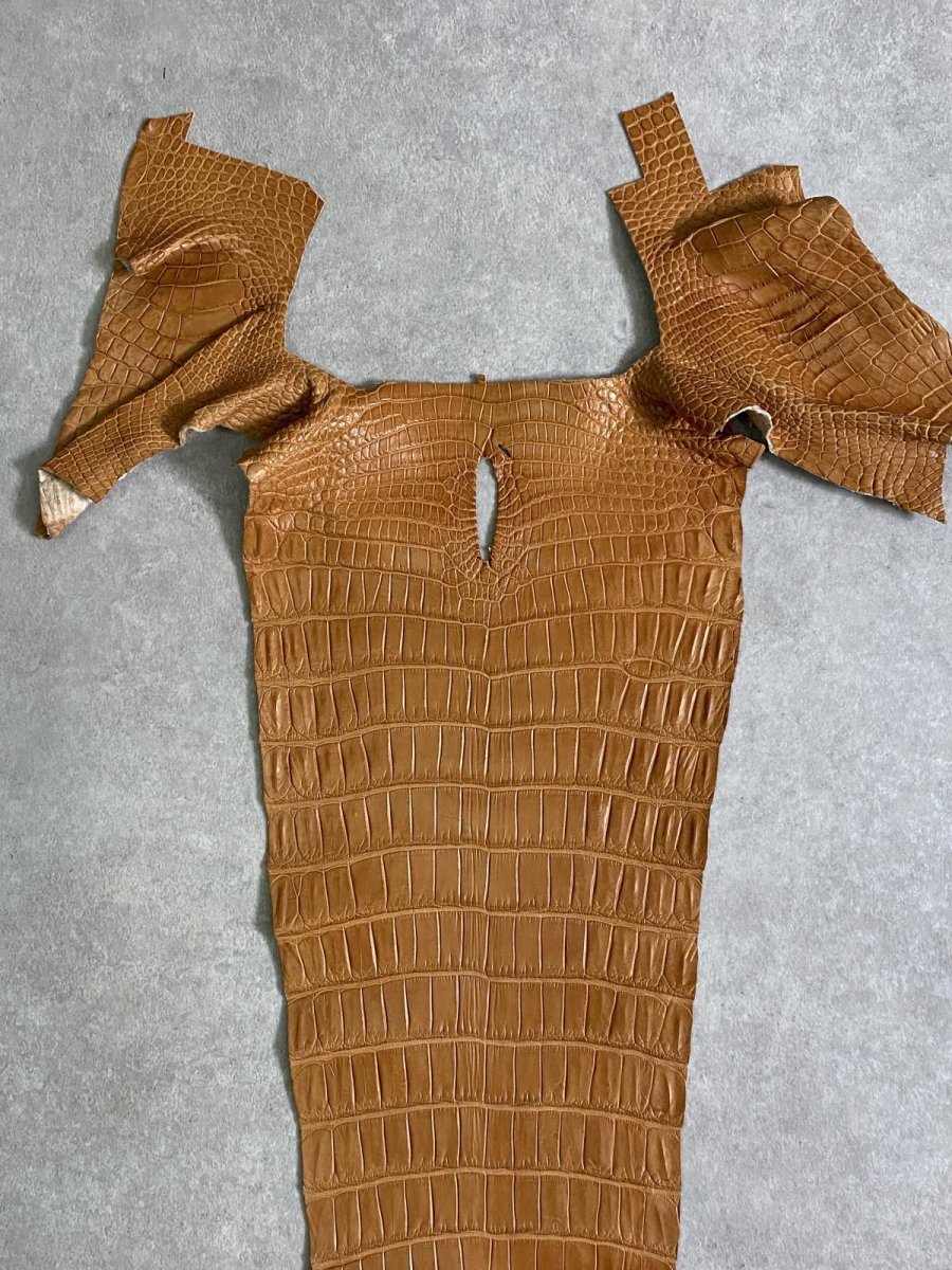 画像2: スモールクロコ（ポロサス） 尻尾　キャメル (2)