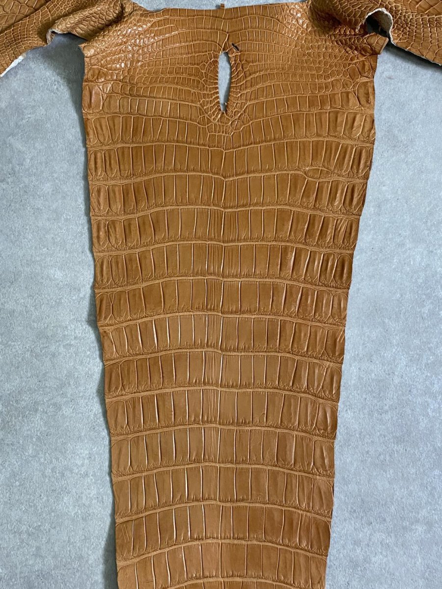画像3: スモールクロコ（ポロサス） 尻尾　キャメル (3)