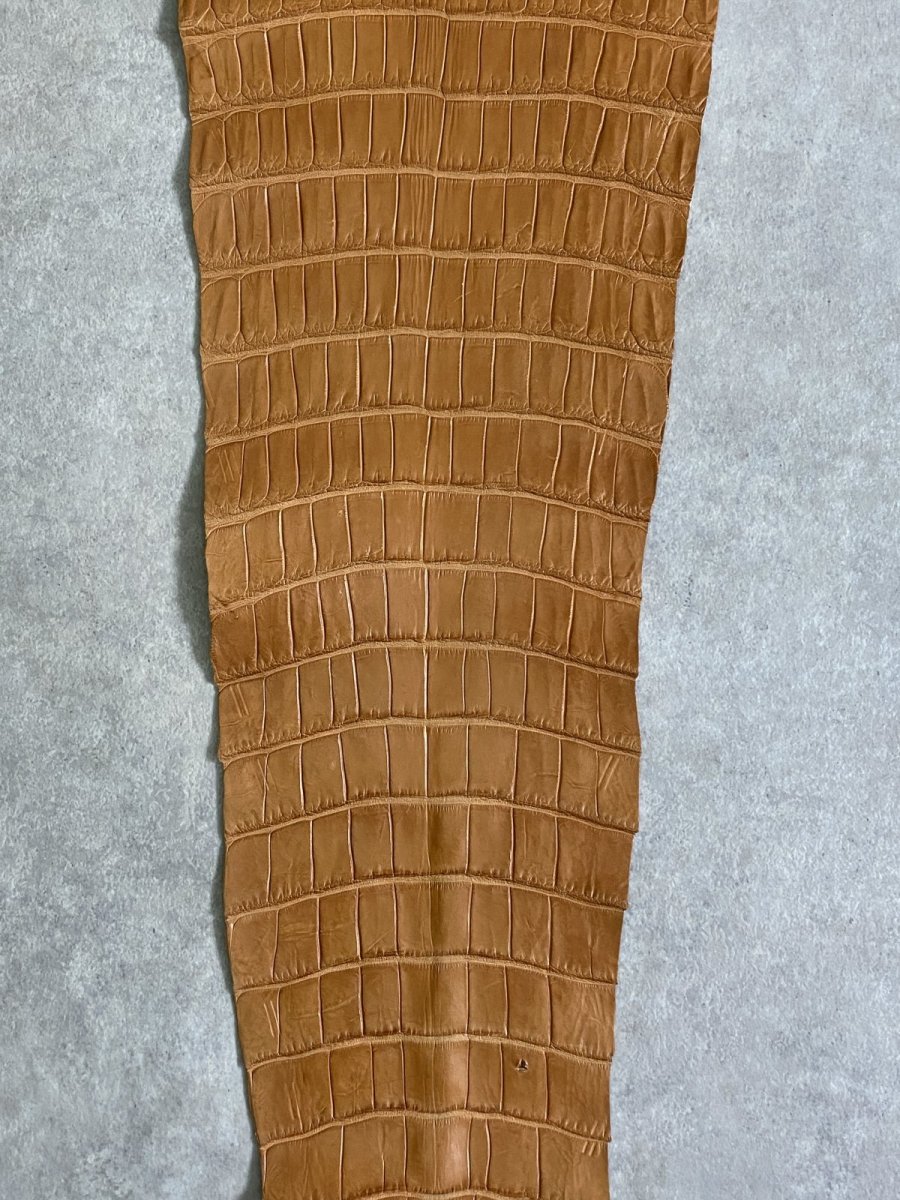 画像5: スモールクロコ（ポロサス） 尻尾　キャメル (5)
