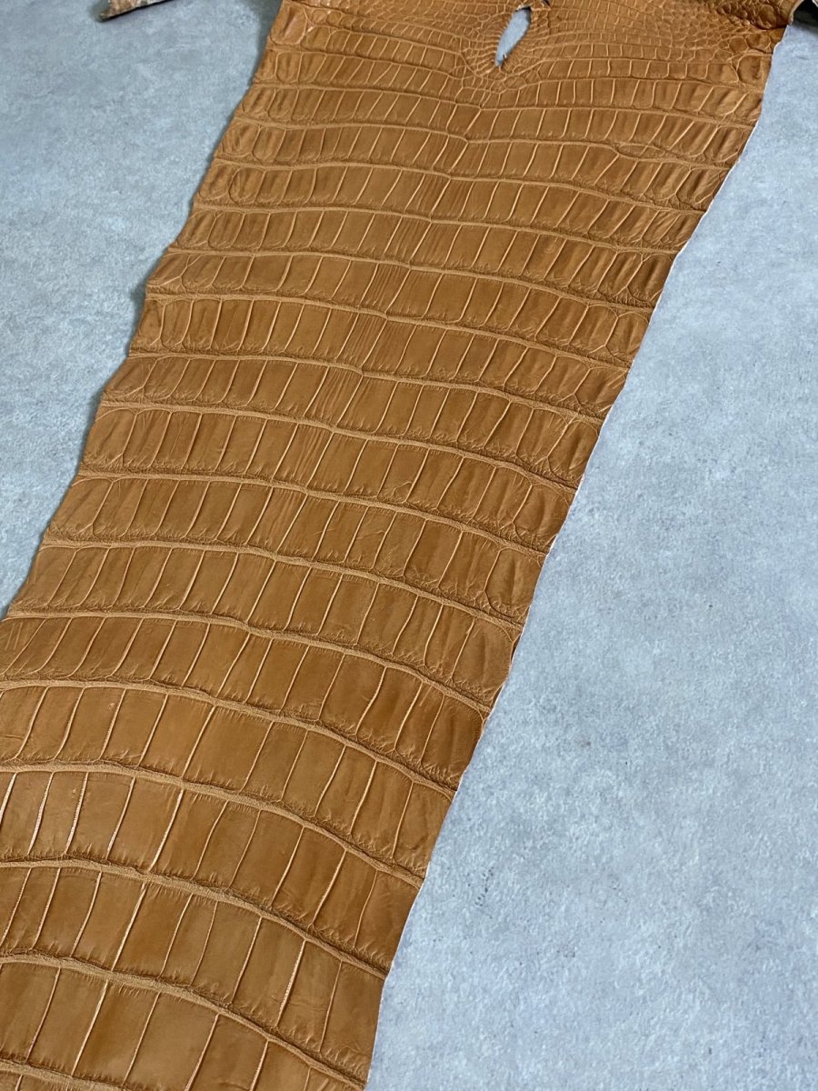 画像7: スモールクロコ（ポロサス） 尻尾　キャメル (7)