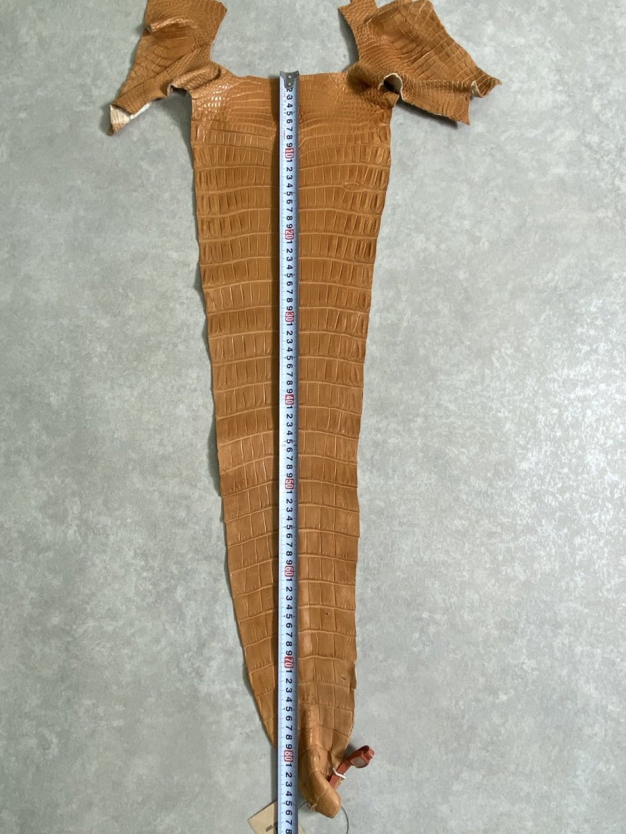 画像9: スモールクロコ（ポロサス） 尻尾　キャメル (9)