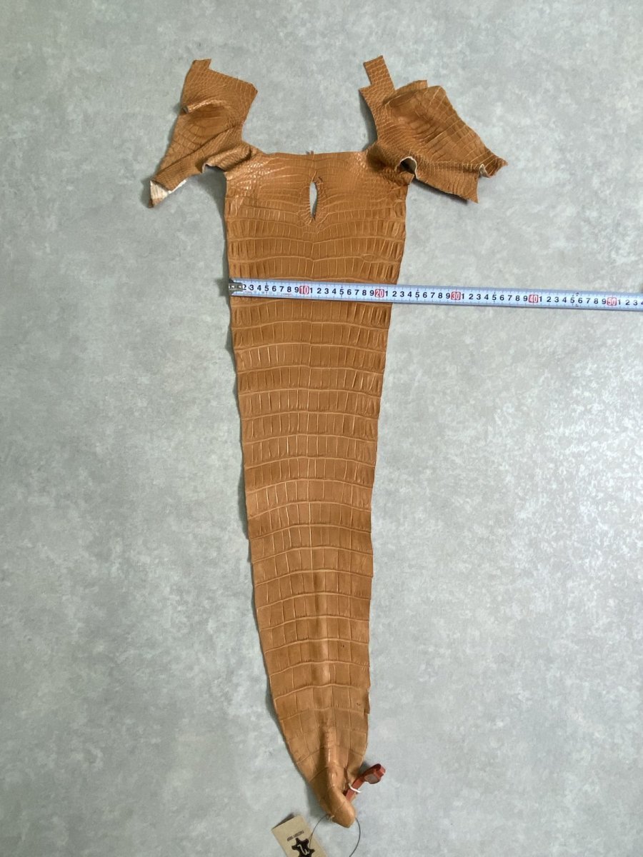 画像8: スモールクロコ（ポロサス） 尻尾　キャメル (8)