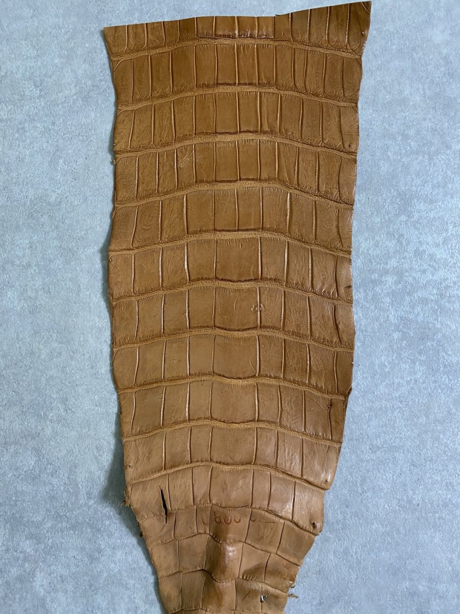 画像2: スモールクロコ（ポロサス） 尻尾　キャメル (2)