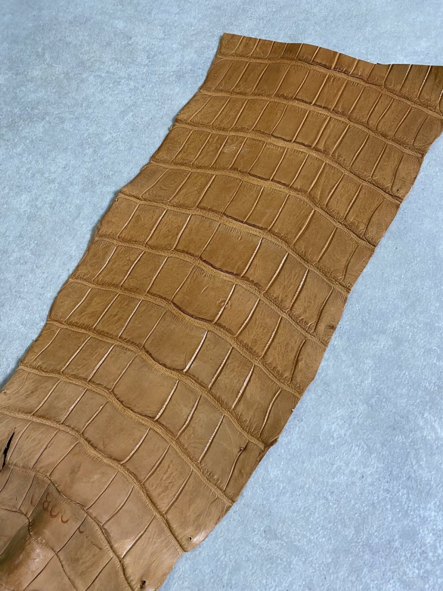 画像3: スモールクロコ（ポロサス） 尻尾　キャメル (3)