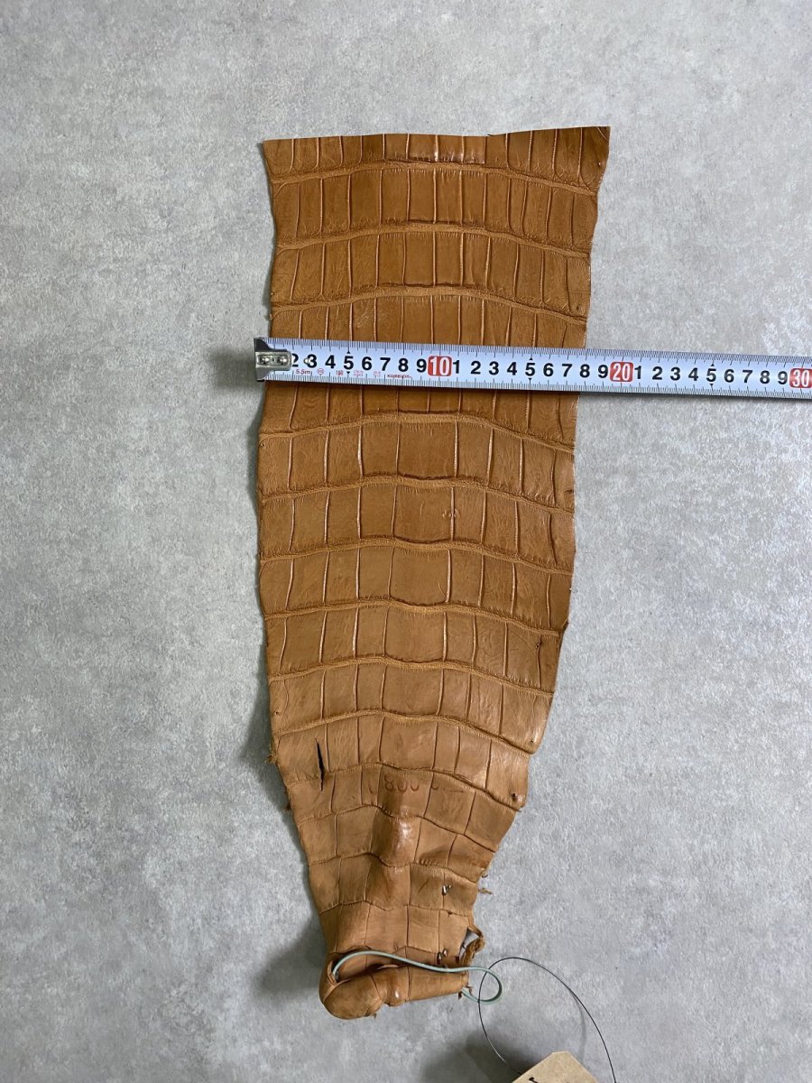画像4: スモールクロコ（ポロサス） 尻尾　キャメル (4)