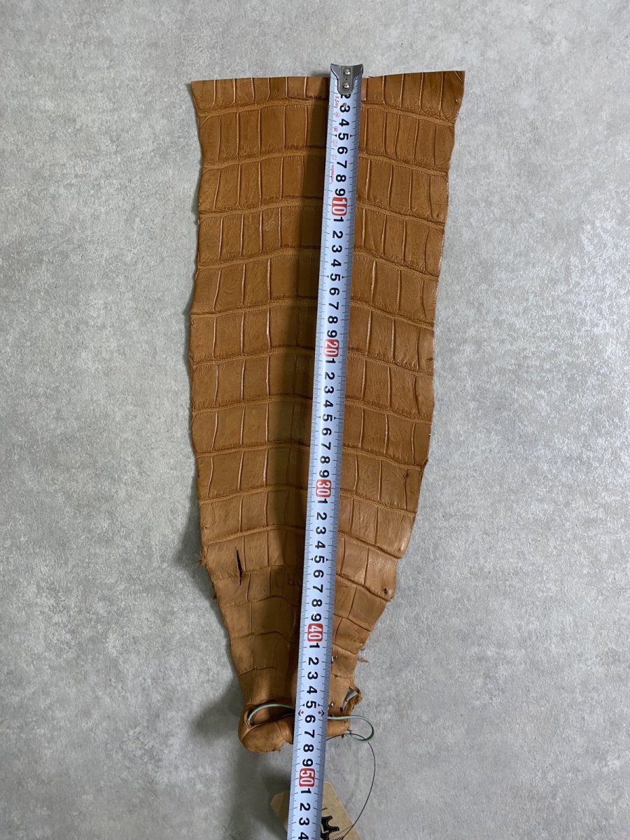 画像5: スモールクロコ（ポロサス） 尻尾　キャメル (5)